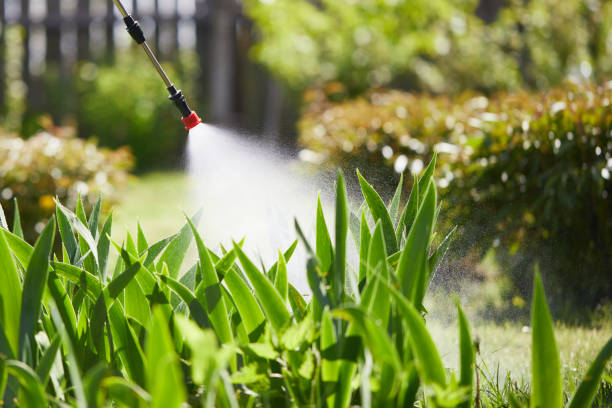 24/7 Emergency Wasp Removal experts in Locust Grove, GA