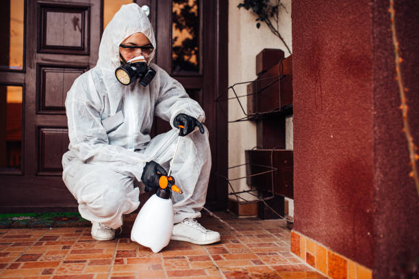 Reliable Wasp Removal contractor in Locust Grove, GA by Show Me Pest Control